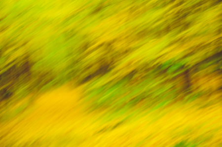 Autumn background with bright yellow leaves. Autumn leaves bokeh autumn nature background. Blurred bright autumn backgroundの写真素材