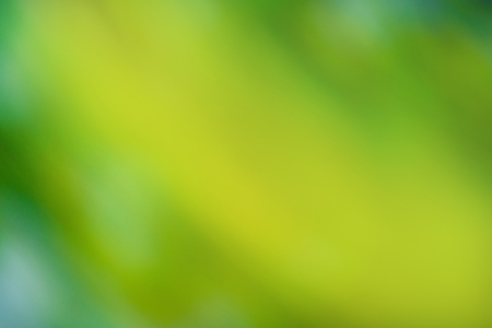 Green bokeh background. Defocused abstract green background. Blur nature green park. Sunny green nature backgroundの写真素材