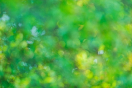 Leaves bokeh for nature background. Natural bokeh blurred. Bokeh light abstract background.