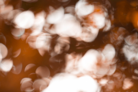 Falling leaves natural bokeh background. Sunny abstract nature background. Beautiful sunlight bokeh autumn backgroundの写真素材