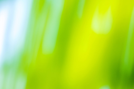 Green bokeh background. Defocused abstract green background. Blur nature green park. Sunny green nature backgroundの写真素材