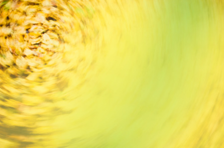Autumn background with bright yellow leaves. Autumn leaves bokeh autumn nature background. Blurred...