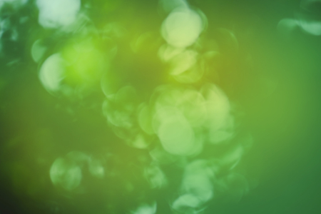 Empty blurred city park  background. Green blurred  background. Natural green backgroundの写真素材