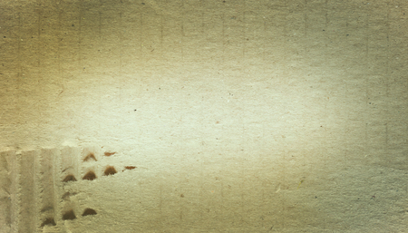 Corrugated cardboard texture. Textured recycled cardboard texture. Copy space for your commercial design. Panoramic banner backgroundの写真素材