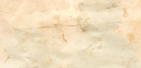 Vintage blank photo. Old photo reverse texture. fragment of reverse side of the old photoの写真素材