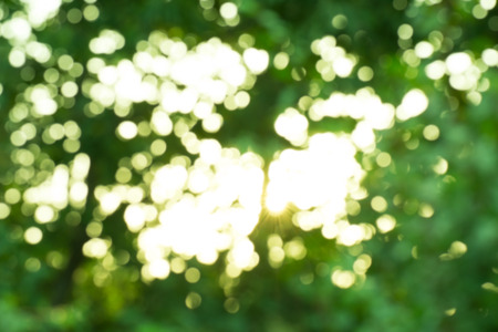 Green blurred elegant abstract background. Green bokeh background. Abstract background with greenery bokeh lightsの写真素材