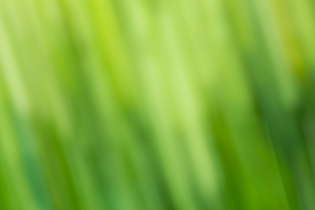 Abstract bokeh background. Abstract green motion blur backgroundの写真素材