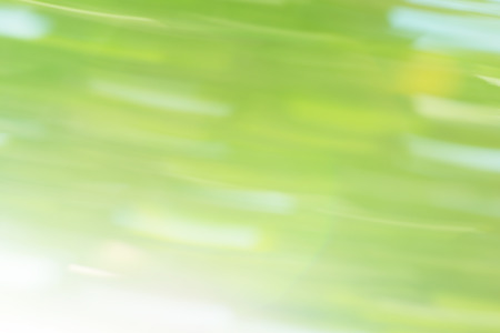 Green bokeh background. Green tree bokeh and sunny shine backgroundの写真素材