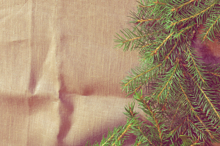 Branch of Christmas tree on sackcloth background.  Tree branches Christmas decoration.の写真素材