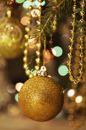 Christmas and New Year branch. Christmas gold ball on fir branches.の写真素材