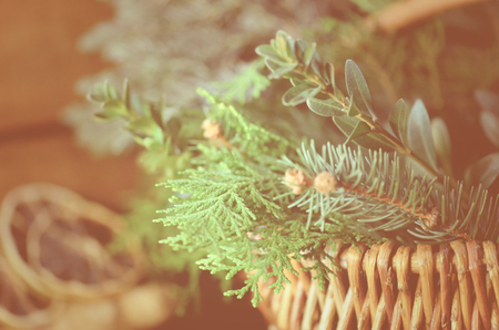 Branch of Christmas tree in wicker basket.  Tree branches Christmas decoration.の写真素材