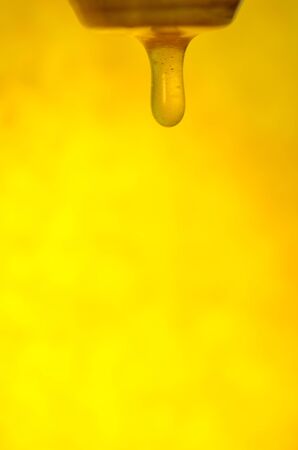 Honey flow dropping. Sweet amber flower honey flowsの写真素材