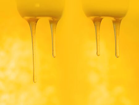 Organic sweet honey splashes.  Honey dipping from the wooden honey spoonの写真素材