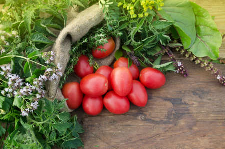 Tomatoes on wooden table. Heap of fresh tomatoes in burlap bag on wooden table. Natural  product concept.の写真素材