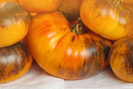 Fresh ripe delicious brown yellow tomatoes. Background from freshly harvested red tomatoes Blue Gold.
の写真素材