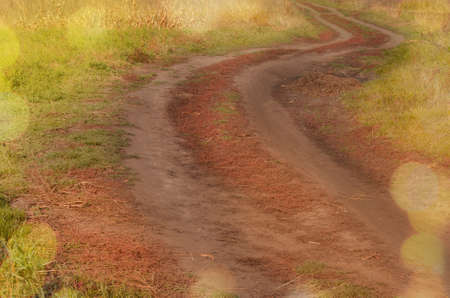 Fall colors on trees and walk path. Beautiful autumn landscape with walk path. Majestic colorful forest with fallen foliage on the ground.の写真素材