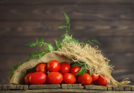 Tomatoes on wooden table. Heap of fresh tomatoes in burlap bag on wooden table. Natural  product concept.の写真素材