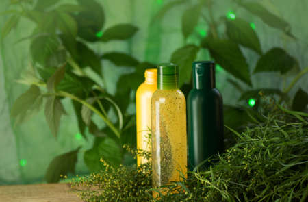 Bottle with tarragon oil. Fresh green tarragon and essential oil