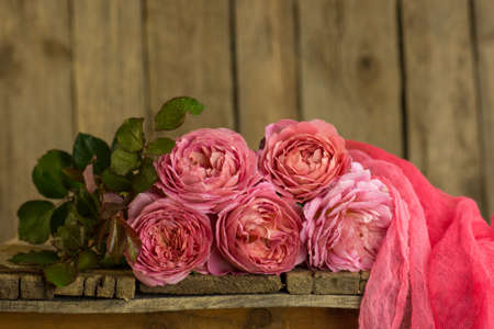 Magnific pink roses on wooden table. Colorful flowers on a table.の写真素材