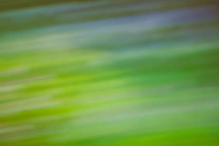 Amazing green plants blurred greenery background. Glowing green nature background. Abstract green...