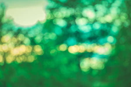 Green abstract bokeh background. Defocused nature green abstract backgroundの写真素材
