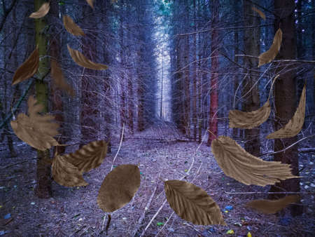 Mystical dreamy forest in blue fog in autumn and magical light. Dark mystical atmosphere park.の写真素材