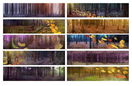 Wind blowing yellow leaves in dark mystical atmosphere autumn park panoramic web banner. Collage with different panoramic photos.の写真素材
