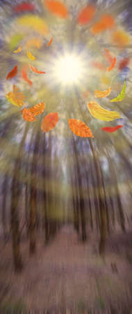 Majestic dark dense autumn forest panoramic vertical banner