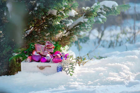 Wither decoration in the garden on Christmas concept.の写真素材