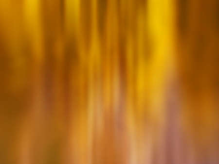 Panoramic blur horizontal nature misty fall landscape. Magic blur occulture autumn forest...