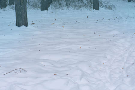 Tillable snow texture. Winter beautiful white background.の写真素材