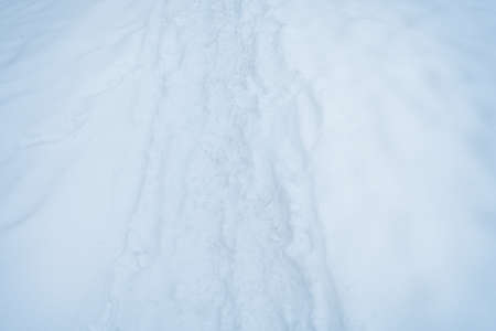 Abstract natural winter background top view with copy space.の写真素材