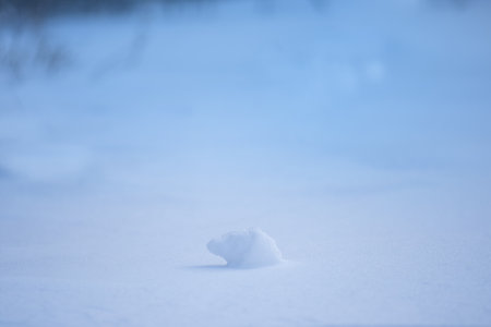 Winter bright falling snow texture top view. Christmas abstract background top view.の写真素材