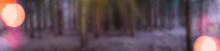 Web header template with mysterious fairy fall blurred bokeh forest. Dark scary motion bokeh autumn forest panoramic banner background.の写真素材