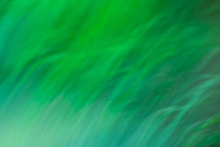 Abstract bokeh green background. Green defocused blurry effect background.の写真素材