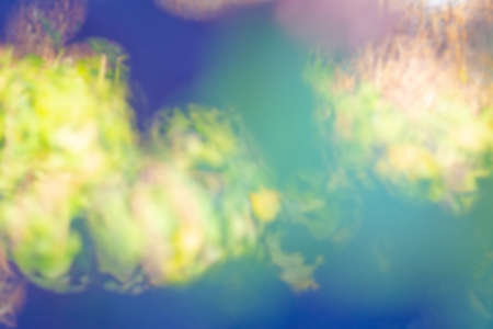 Eco friendly nature concept. Green nature bokeh background with copy space. Ecology nature concept.