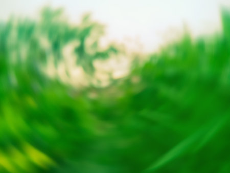 Defocus spring green tree garden or park in summer background. Defocus spring foliage countryside blurred backdrop.の写真素材