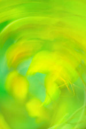 Copyspace bokeh blurry effect background. Blurry green bokeh background.の写真素材