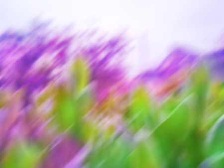 Multicolored spring or summer blurry background. Sun days spring or summer abstract nature blurred backdrop.の写真素材