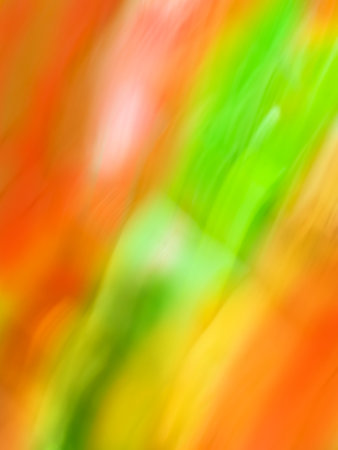 Bright yellow and red trees fall bokeh backdrop. Motion fall colorful blurred foliage.の写真素材