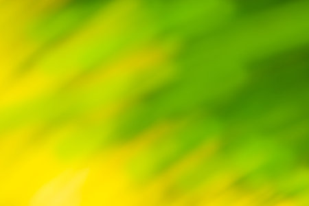 Abstract bokeh green background. Green defocused blurry effect background.の写真素材