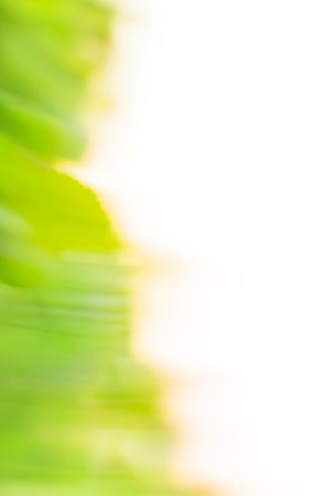 Bokeh blue sky and white clouds on summer vacation concept. Abstract natural background and sun flares.の写真素材