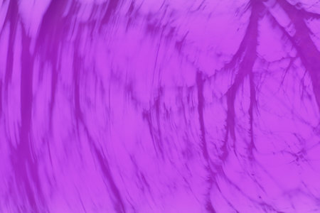 Blurry abstract purple background. Violet abstract bokeh backdrop.