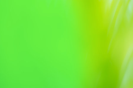 Green haze bokeh backdrop. Green olive color blurred motion out of focus background.の写真素材