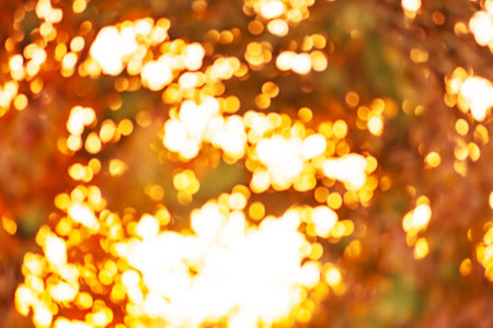 Falling leaves natural blurred bokeh background. Blurry falling leaves natural bokeh background.