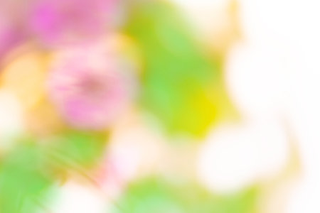 Fresh spring flowers with bokeh and sunlight natural backgroundの写真素材