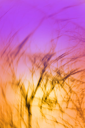 Bright yellow and red trees fall bokeh backdrop. Motion fall colorful blurred foliage.
