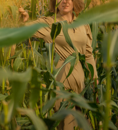 Loneliness and mystery art photography. Beautiful stylish woman walking in sunset light in green maize field.の写真素材