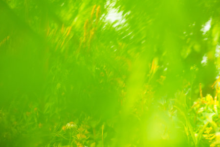 Glowing blurred colorful nature background with sunshine. Blurred motion spring green background. Spring or summer blurry background.の写真素材
