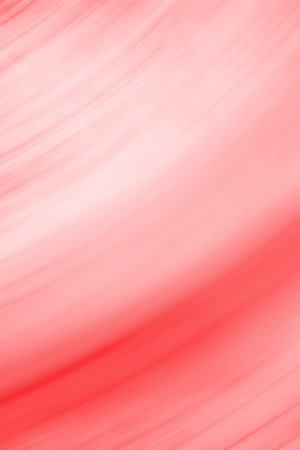 Valentines day vermillion red background. Soft bokeh defocused crimson red rose holidays light photo.の写真素材